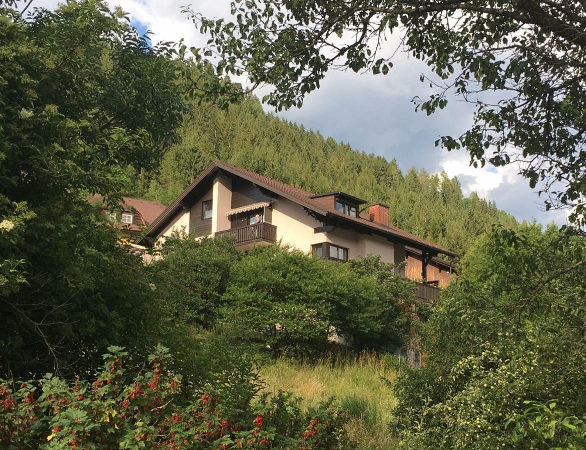 Haus Agnes, Murau Esterno foto